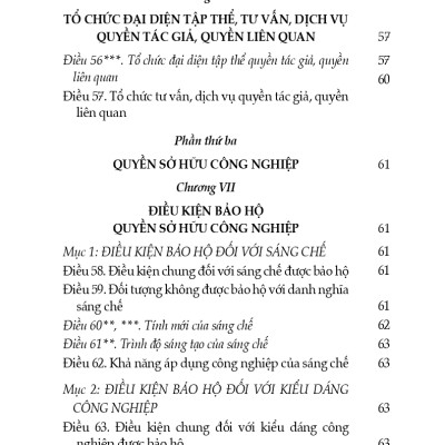Luật Sở Hữu Trí Tuệ (Hiện Hành) (Sửa Đổi, Bổ Sung Năm 2009, 2019, 2022)