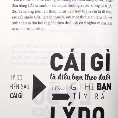 Bắt Đầu Từ Đam Mê - Làm Điều Bạn Thích Và Yêu Điều Bạn Làm (Tái Bản)
