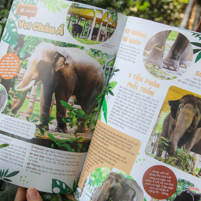 (Bìa cứng) THẢO CẦM VIÊN SÀI GÒN - Kho Báu Trong Lòng Thành Phố