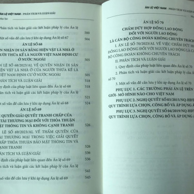 Án lệ Việt Nam - Phân tích và luận giải (tập 1 và 2)