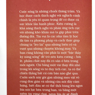 Triết Lý Sống Thế Hệ Z - Kiên Cường Trên Mọi Chiến Trường - Vanlangbooks