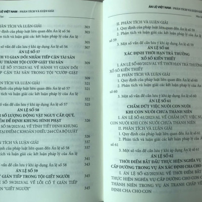 Án lệ Việt Nam - Phân tích và luận giải (tập 1 và 2)