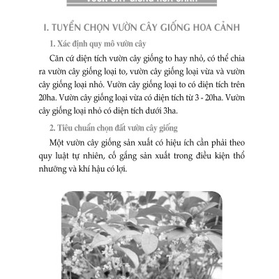 Nông Nghiệp Xanh, Sạch - Kỹ Thuật Trồng Các Loại Hoa 