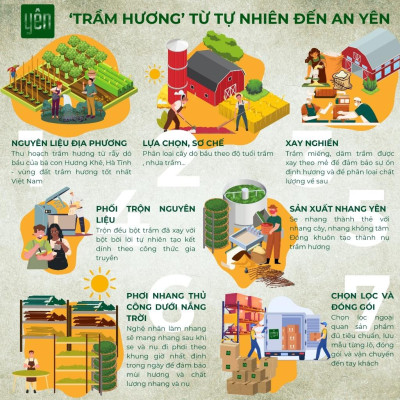 Nhang Trầm Hương Không Tăm Yên Thảo Mộc Loại Tâm Sạch Tự Nhiên Ít Khói An Toàn Dùng Thiền Thờ Cúng Thư Giãn