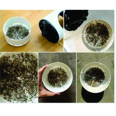 Đèn Bắt Muỗi Tia UV Cao Cấp, Máy Bắt Muỗi Diệt Côn Trùng Thông Minh Có Quạt Hút Cổng USB Chính Hãng