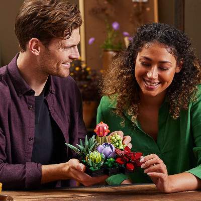 Đồ Chơi LEGO Sen Đá 10309 (771 chi tiết)