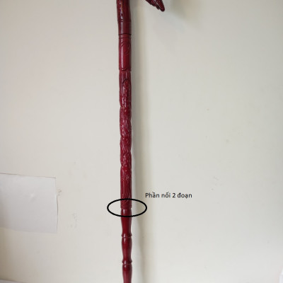 Gậy Chống Trượt Cho người Già - Hàng chính hãng