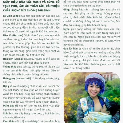 Trà cho mẹ sau sinh Lợi Sữa - Đào Thải sản dịch