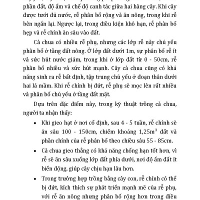 Nông Nghiệp Xanh Và Sạch - Trồng Cà Chua Sạch Quanh Năm