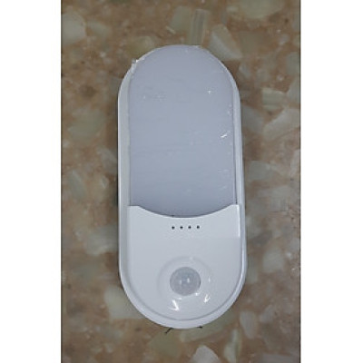 ĐÈN LED GẮN TƯỜNG CẢM BIẾN 15W RẠNG ĐÔNG