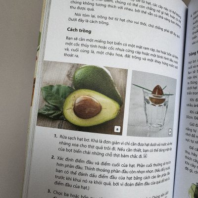 BẾP KHÔNG RÁC – TÁI SINH RAU CỦ - Katie Elzer Peters – Quế Chi dịch – NXB Thế giới – ThaiHa Books