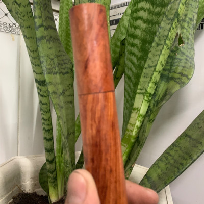 Nhang trầm hương Phi Long 10g - sản phẩm thân thiện môi trường sống