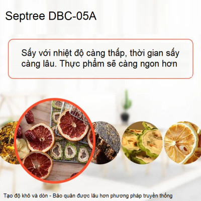 Máy sấy thực phẩm 5 tầng có bảng điều khiển hẹn giờ sấy khô tự ngắt thương hiệu Mỹ cao cấp Septree DBC-05A - Hàng Chính Hãng