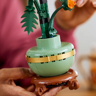 LEGO ADULTS 10368 Đồ Chơi Lắp Ráp Chậu Hoa Cúc Đại Đóa (278 Chi Tiết)