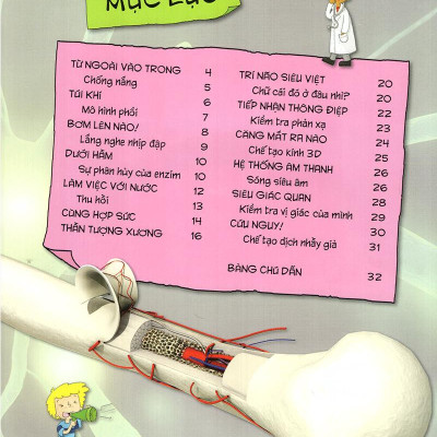 Tìm Hiểu Về: Cơ Thể Người