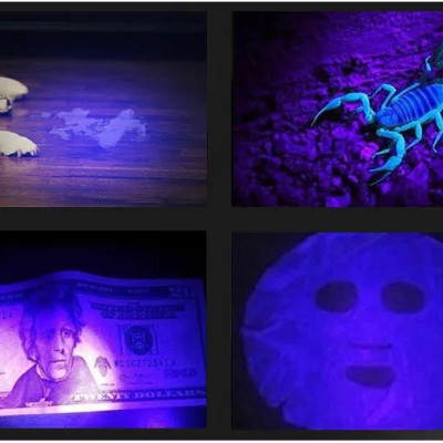 Đèn pin cầm tay tia UV kiểm tra tài liệu Terino UV-C6405 - Hàng chính hãng