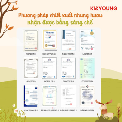 Gạc hươu non/Nước nhung hươu cao cấp Ki&Young cho trẻ từ 1 tuổi - ALADDINVINA