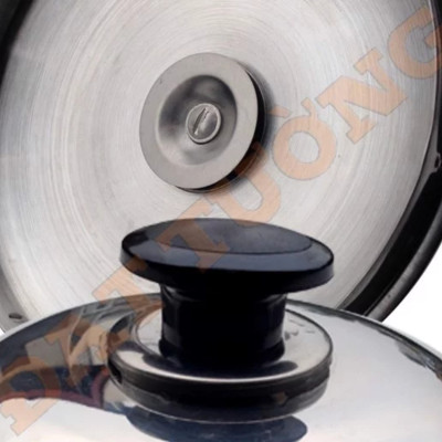 Ấm điện đế liền cao cấp 5L Đạt Tường – ĐL-03  - Trắng Inox - Hàng chính hãng