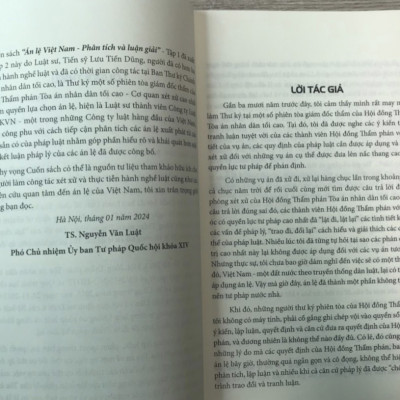 Án lệ Việt Nam - Phân tích và luận giải (tập 1 và 2)