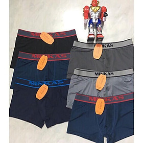 Combo  5 Quần lót nam thun lạnh dạng đùi hàng cao cấp thoáng mát Từ 40kg đến 75kg( màu ngẫu nhiên).