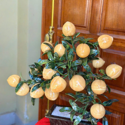 Cây đào phong thuỷ đá ngọc hoàng long 18 quả, quả to|phongthuygiaphat