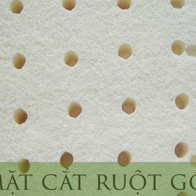 Gối Ôm Cao Su Vạn Thành Bolster VTGCSO20100 (20 x 100 cm) - Trắng