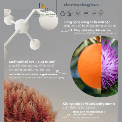 Serum tái tạo hàng rào bảo vệ, tăng cường khả năng phục hồi của da DYNAMIC SKIN STRENGTHENING SERUM của Dermalogica