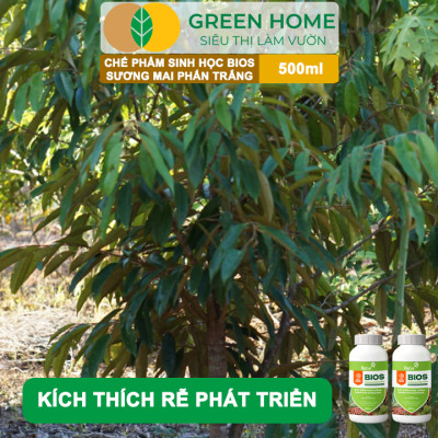 Chế Phẩm Sinh Học Bacte Bios Sương Mai Phấn Trắng, Green Home, Chai 500ml, Từ Thảo Mộc, Hiệu Lực Nhanh Mạnh