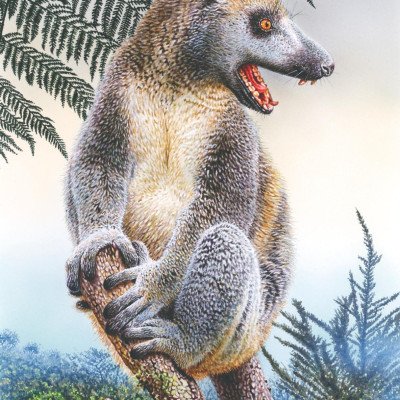 Atlas Các Động Vật Nổi Danh Đã Tuyệt Chủng