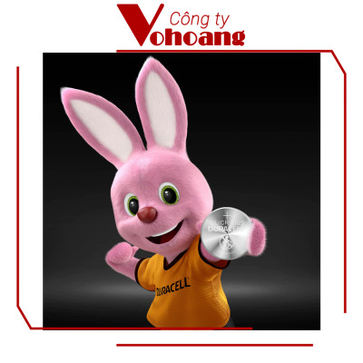 Vỉ 2 Viên Pin Duracell CR2032 / CR2025 / CR2016 Lithium 3V - Hàng chính hãng