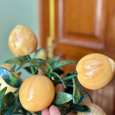 Cây đào phong thuỷ đá ngọc hoàng long 18 quả, quả to|phongthuygiaphat