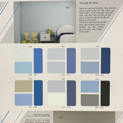 Sơn phào chỉ cho trần nhà Toa thoải mái lau chùi màu C- 7822 _1L