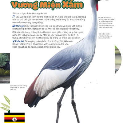 Thảo Cầm Viên Sài Gòn - Kho Báu Trong Lòng Thành Phố