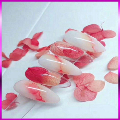 Set Hoa Khô Đắp Gel Ẩn Móng 12 Màu, Trang Trí Nail Độc Đáo, Tạo Hiệu Ứng Đẹp, Chùm Hoa Nhiều, Làm Nail Chuyên Nghiệp Women Nữ Sơn Gel