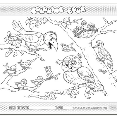 Xếp hình Tia Sáng  Bầy Chim  (30 Mảnh Ghép) - Tặng kèm tranh tô màu cho bé