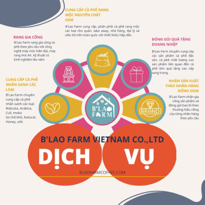 Cà phê nhân xanh CULI loại 1 B