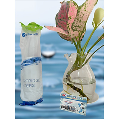 Lõi lọc Nanosilver Bạc - Hàng chính hãng