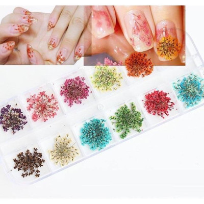Hoa Khô Chùm Nhỏ Khay 12 Ô Mix MàuTrang Trí Móng Siêu Đẹp Làm Nail Vẽ Nail Nữ Women