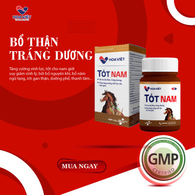 Viên uống bổ thận tráng dương tăng cường sinh lực nam giới Tốt Nam Hoa Việt  (Hộp 30 viên)- Bí quyết cho sức khỏe phái mạnh