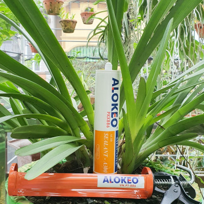Keo silicone alokeo A300 màu trong Axit