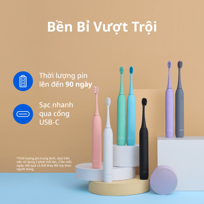 Bộ 3 Đầu Thay Thế Cho Bàn Chải Điện Zenyum Sonic - Màu Tím