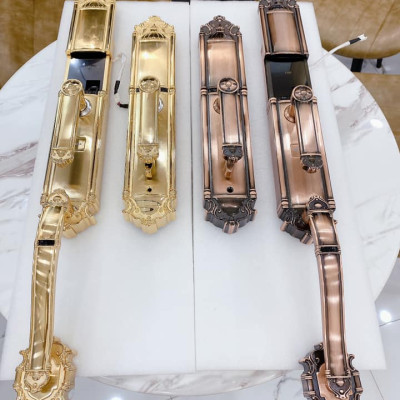 Khóa vân tay tân cổ đại sảnh DEMAX SL821 AC