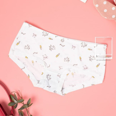 Bộ 10 Quần Lót Nữ Su Họa Tiết - Chất Vải Mềm Mịn Dịu Nhẹ Cho Da (dành cho nàng từ 40-55kg)