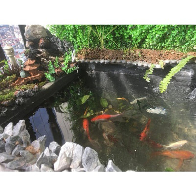 Keo, sơn quét chống thấm, vá trám vết nứt tường đa năng thông minh chống bong tróc trong nhà, ngoài trời ( 1kg). Tặng kèm chổi quét sơn và 2,5m  vải 