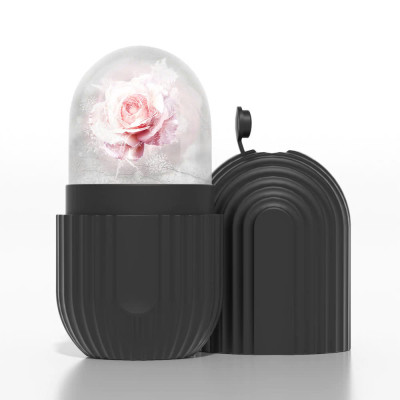 Máy Massage Mặt Làm Đẹp Da Lạnh ICE Giúp Nâng Cơ Mặt, Rửa Sạch Sâu, Tăng Cường Hấp Thụ Tinh Chất Dưỡng Da Kèm Massage Mắt Loại Quầng Thâm 