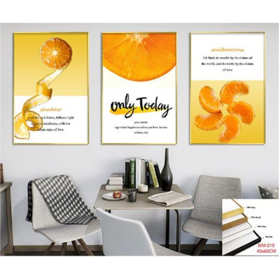 TRANH BỘ 3 TREO TƯỜNG CỠ ĐẠI (30 x 40cm x3 bức) - PHONG CÁCH BẮC ÂU- TB31009FGC9