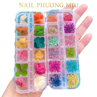 Set Hoa Khô Đắp Gel Ẩn Móng 12 Màu, Trang Trí Nail Độc Đáo, Tạo Hiệu Ứng Đẹp, Chùm Hoa Nhiều, Làm Nail Chuyên Nghiệp Women Nữ Sơn Gel
