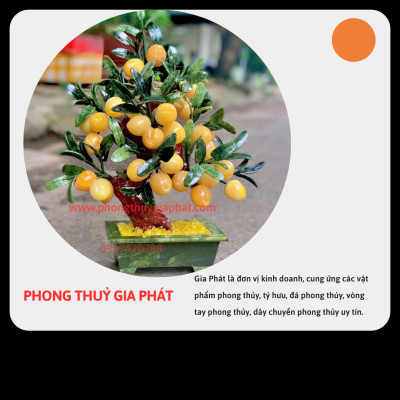 Cây đào phong thuỷ ngọc hoàng long 28 quả|phongthuygiaphat