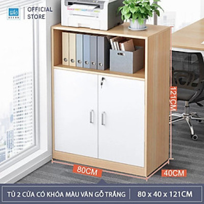 Tủ Hồ Sơ Văn Phòng Nhỏ Gọn Có Khóa Tiện Lợi Thương Hiệu SIB Decor HS21