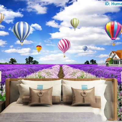 Tranh dán tường khinh khí cầu PC47